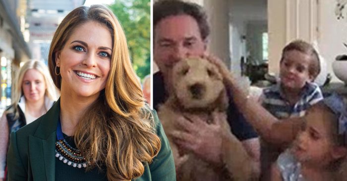 prinsessan madeleines nya hundvalp