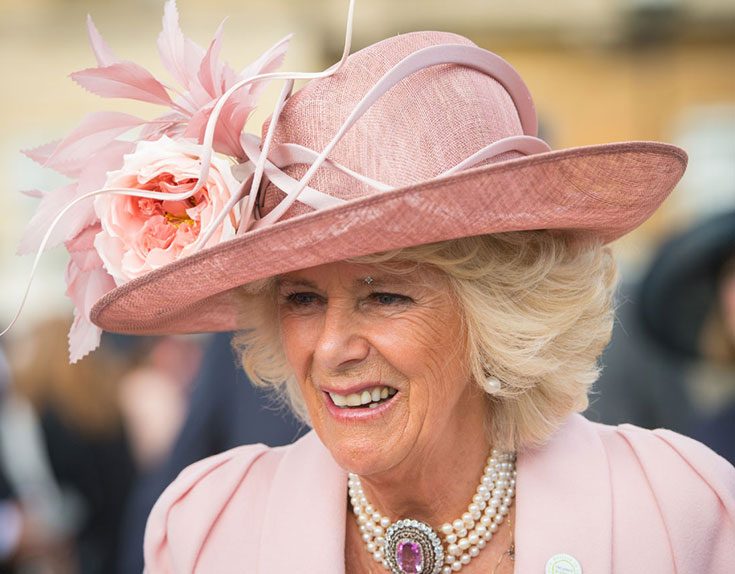 Kungligt mingel på årets gardenparty i London